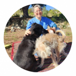 M�dica Veterin�ria Rute